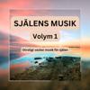 SJÄLENS MUSIK - Otroligt vacker musik för själen - Volym 1