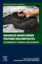 Advanced Nanocarbon Polymer Biocomposites