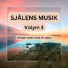 SJÄLENS MUSIK - Otroligt vacker musik för själen - Volym 3
