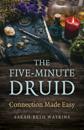 Five-Minute Druid