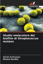 Studio molecolare dei biofilm di Streptococcus mutans