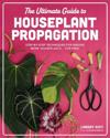 The Ultimate Guide to Houseplant Propagation