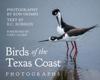 Birds of the Texas Coast