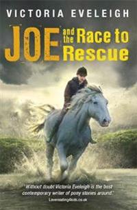 Joe and the Race to Rescue: A Boy and His Horses