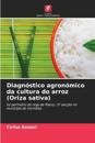 Diagnóstico agronómico da cultura do arroz (Oriza sativa)