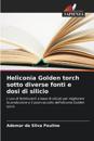 Heliconia Golden torch sotto diverse fonti e dosi di silicio