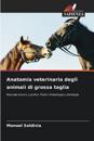 Anatomia veterinaria degli animali di grossa taglia