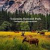 Yosemite National Park Animals & Attractions Kids Book: Great Way for Kids to See the Animals and Attractions in Yosemite National Park