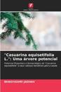 "Casuarina equisetifolia L.": Uma árvore potencial