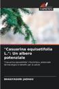 "Casuarina equisetifolia L.": Un albero potenziale