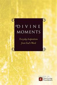 Divine Moments: Everyday Inspiration from God's Word