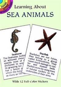 Learning About Sea Animals