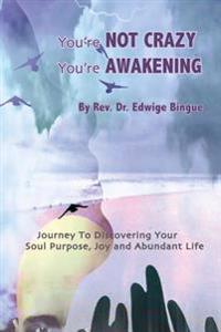 You're Not Crazy, You're Awakening: Journey to Discovering Your Soul Purpose, Joy and Abundant Life