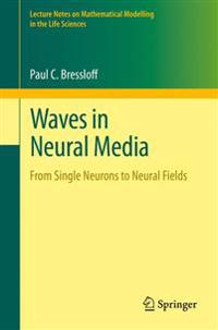 Waves in Neural Media