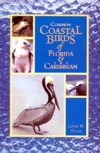 Common Coastal Birds of Florida & the Caribbean