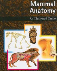 Mammal Anatomy: An Illustrated Guide