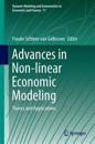 Advances in Non-linear Economic Modeling