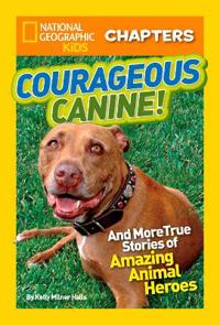 Courageous Canine!
