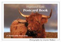 Highland Cow Postcard Book