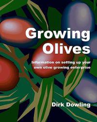 Growing Olives: Information on Setting Up Your Own Olive Growing Enterprise
