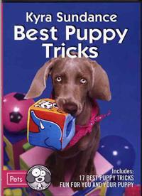 Best Puppy Tricks - DVD