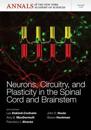 Neurons, Circuitry, and Plasticity in the Spinal Cord and Brainstem, Volume 1279