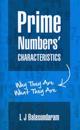 Prime Numbers' Characteristics: Why They Are What They Are.