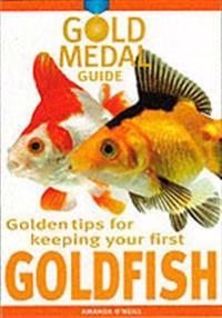 Golden Tips for Keeping Your First Goldfish