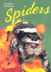 Florida's Fabulous Spiders