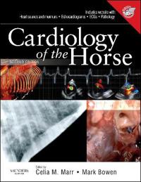Cardiology of the Horse