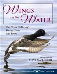 Wings on the Water: The Great Gallery of Ducks, Geese, and Loons