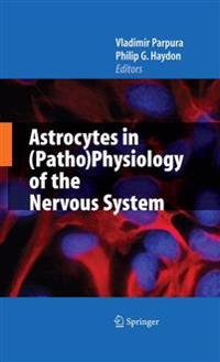 Astrocytes in Pathophysiology of the Nervous System
