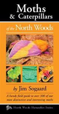Moths & Caterpillars of the North Woods