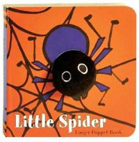 Little Spider