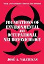 Foundations of Environmental and Occupational Neurotoxicology