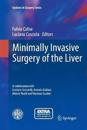 Minimally Invasive Surgery of the Liver