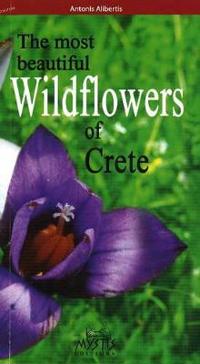 Most Beautiful Wildflowers of Crete