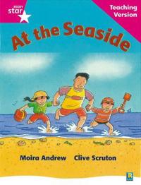 Rigby Star Guided Reading Pink Level: At the Seaside Teaching Version