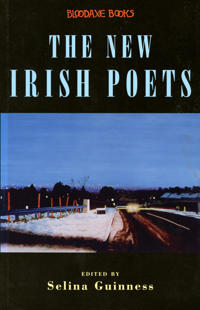 The New Irish Poets