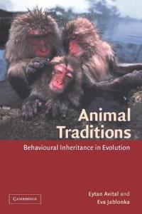 Animal Traditions