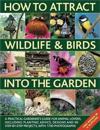 How to Attract Wildlife & Birds into the Garden