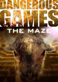 Dangerous Games: The Maze