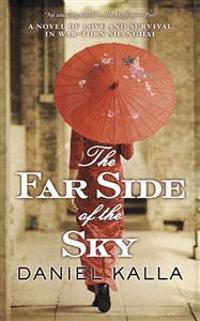 The Far Side of the Sky